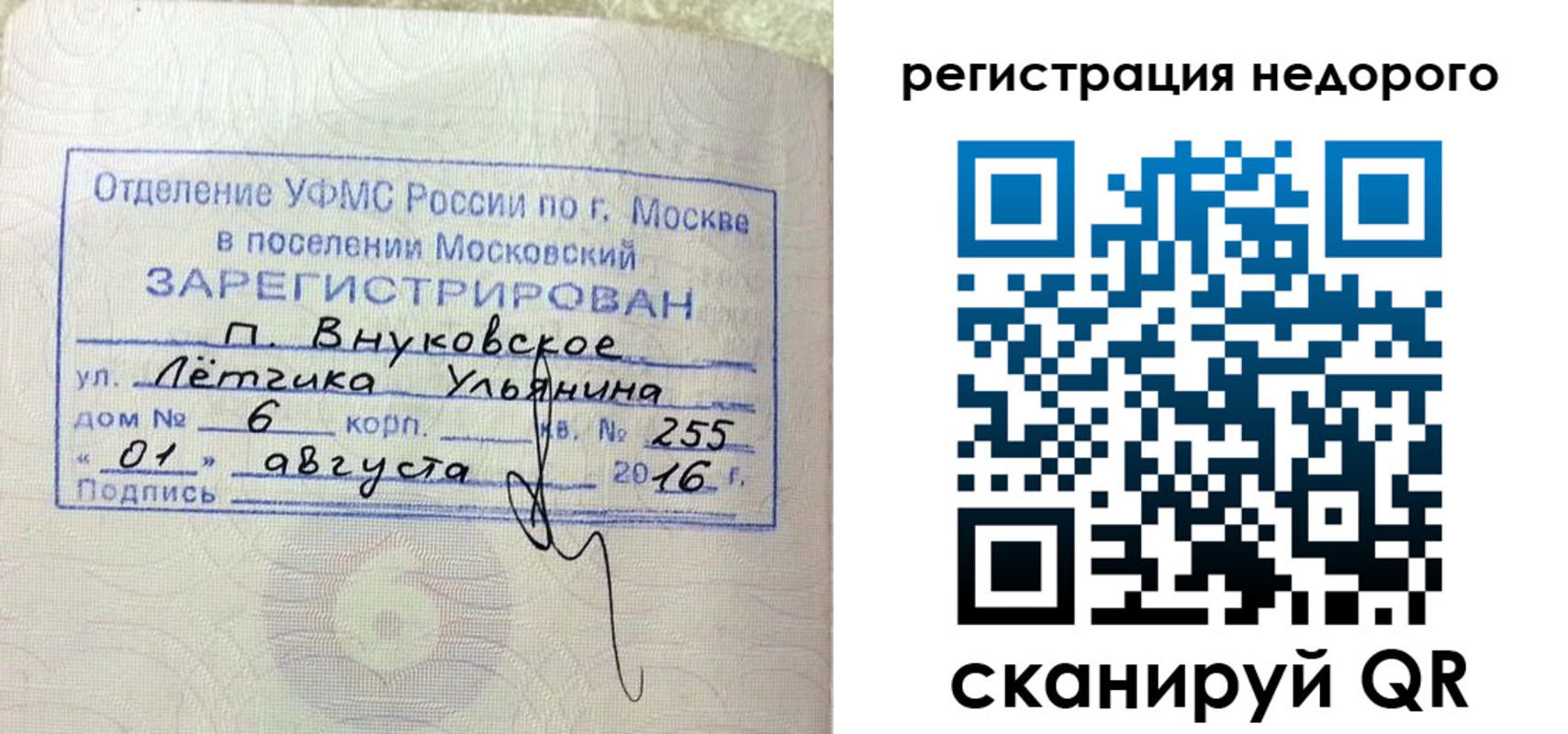 прописка в квартире в Ленинградской области